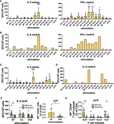 Pre-existing CD4 T cell help boosts antibody responses but has limited impact on germinal center, antigen-specific B cell frequencies after influenza infection